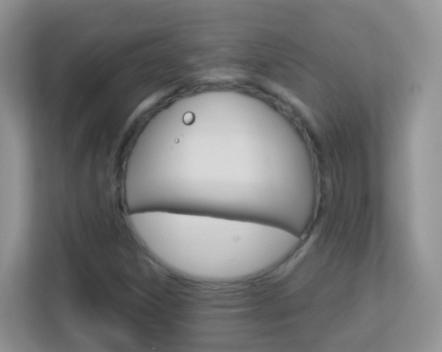 X0000113881306200909241018