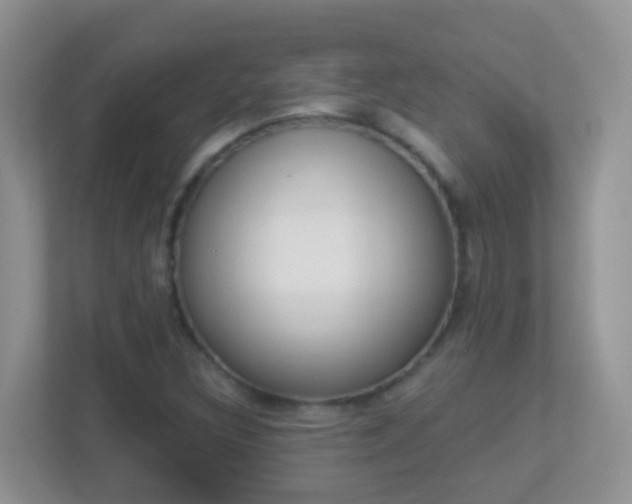 X0000113881308200909241018