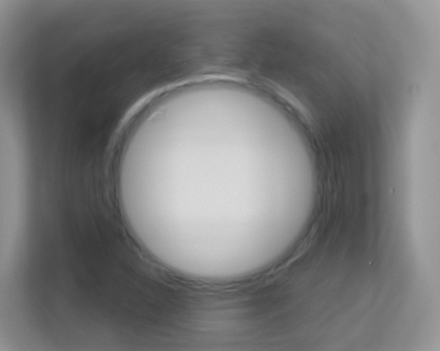 X0000113881310200909241018