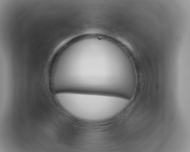 X0000113881311200909241018