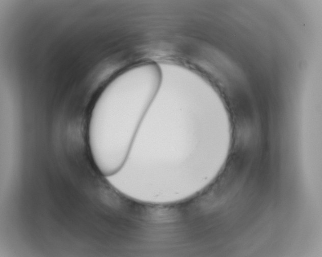 X0000113881314200909241018