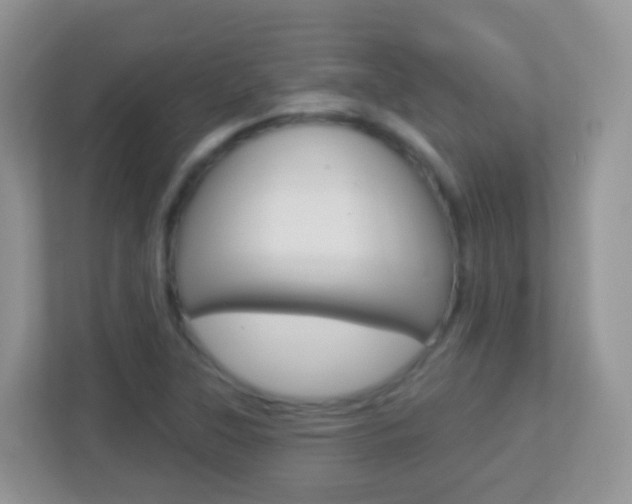X0000113881315200909241018