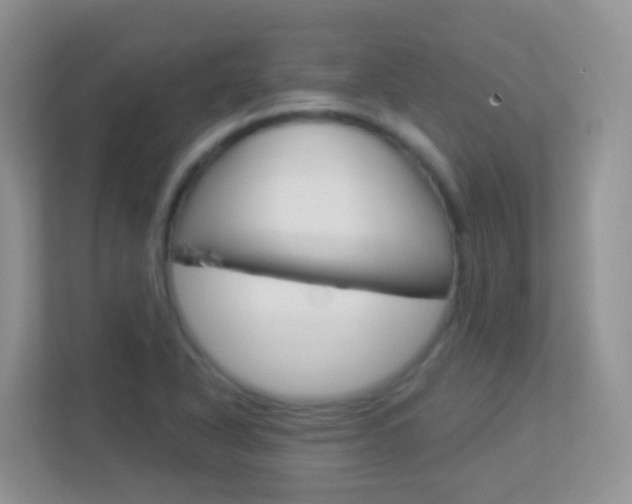 X0000113881318200909241018