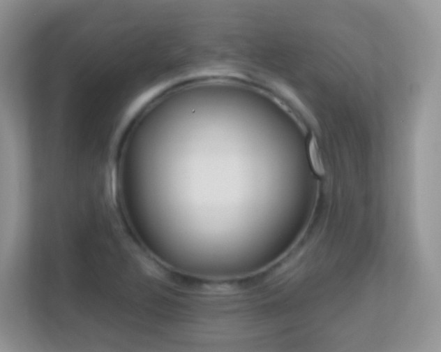 X0000113881320200909241018