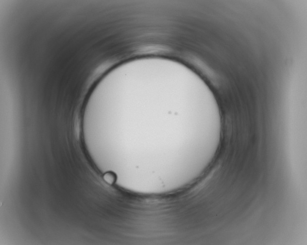 X0000113881322200909241018