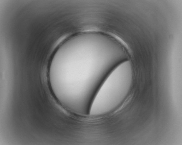 X0000113881325200909241018