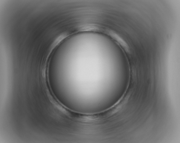 X0000113881330200909241018