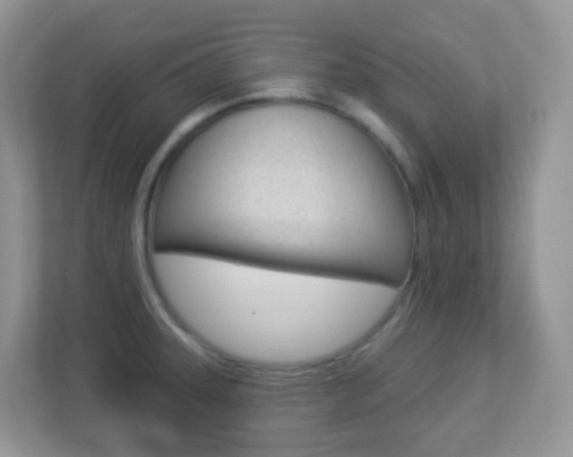 X0000113881331200909241018