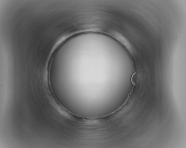 X0000113881332200909241018