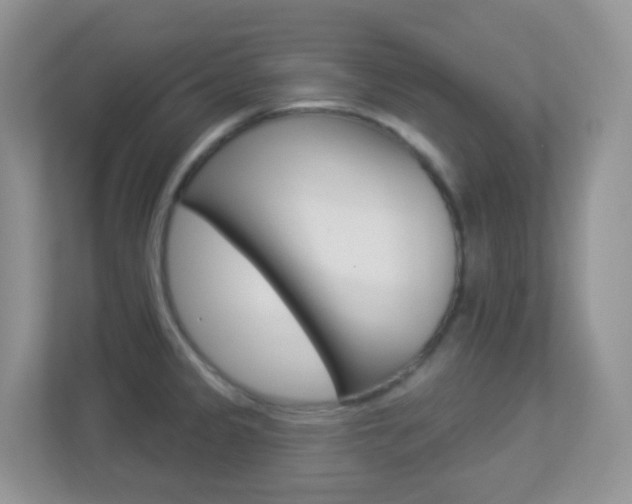 X0000113881333200909241019