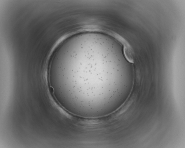 X0000113881334200909241019