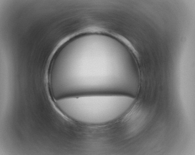 X0000113881335200909241019