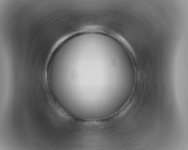 X0000113881336200909241019