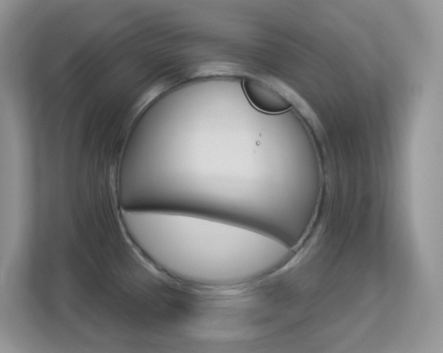 X0000113881337200909241019