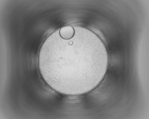 X0000113881338200909241019