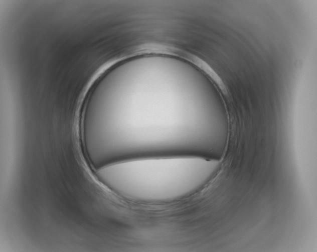 X0000113881339200909241019