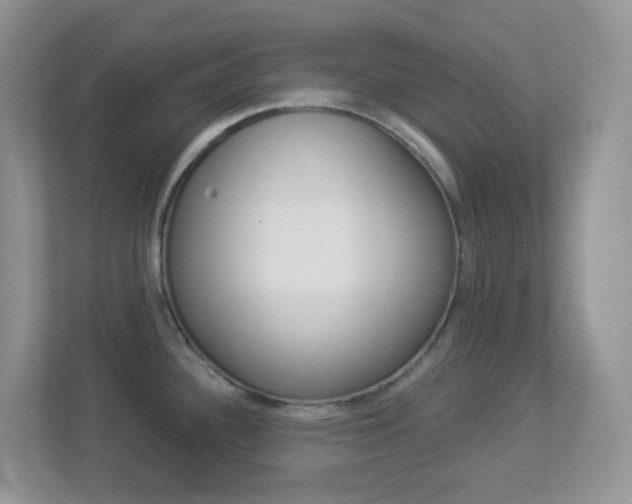 X0000113881340200909241019