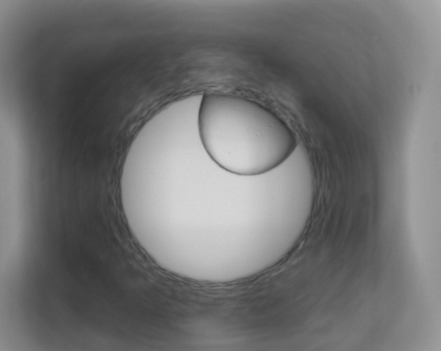 X0000113881349200909241018