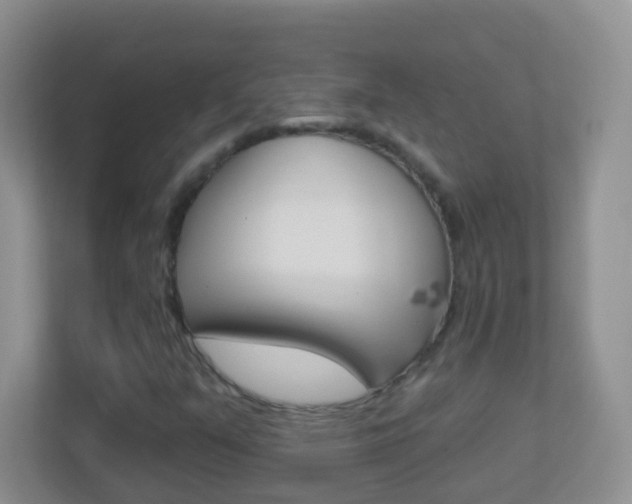 X0000113881351200909241018