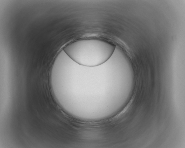 X0000113881353200909241018