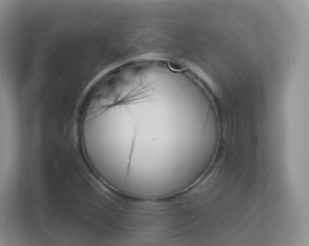 X0000113881356200909241018