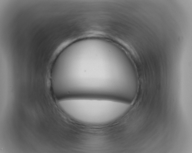 X0000113881363200909241018