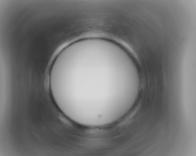 X0000113881366200909241018