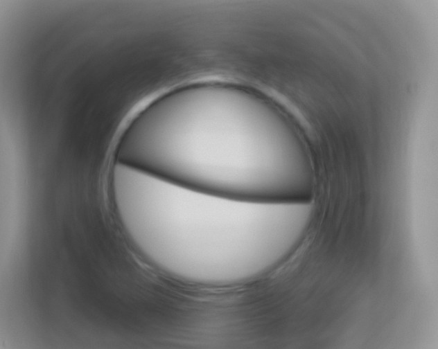 X0000113881367200909241018