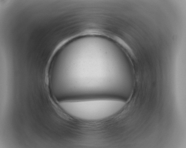 X0000113881372200909241018
