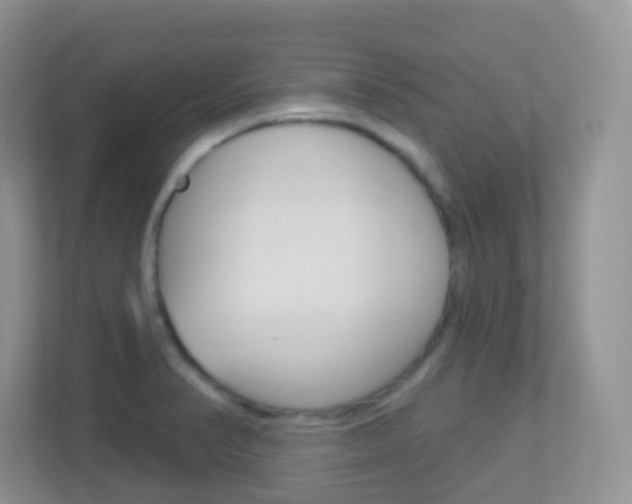 X0000113881374200909241018