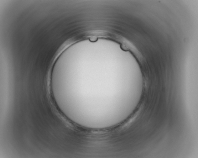 X0000113881378200909241018