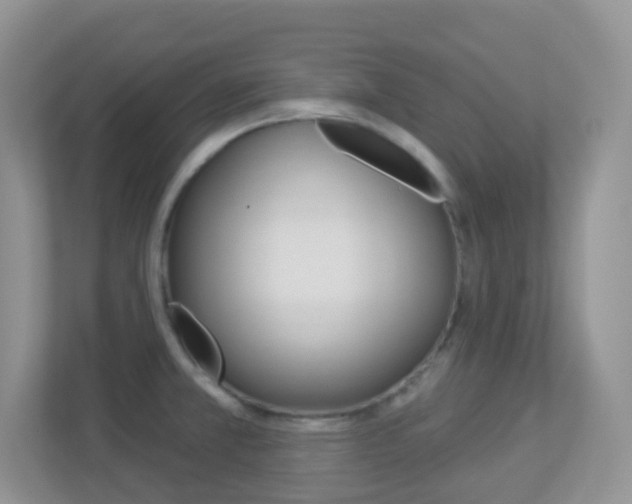 X0000113881381200909241018