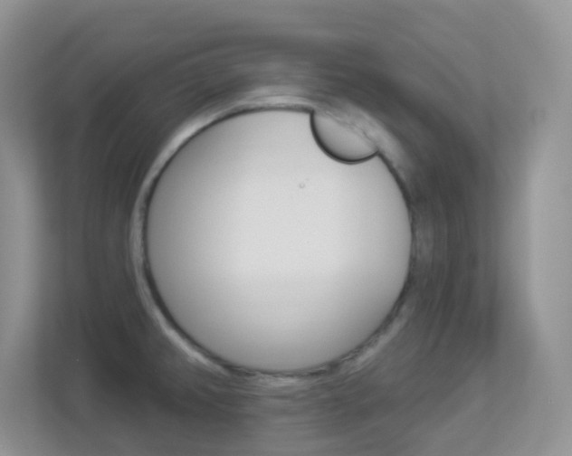 X0000113881382200909241018