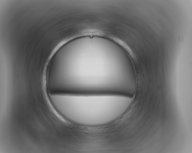 X0000113881383200909241018