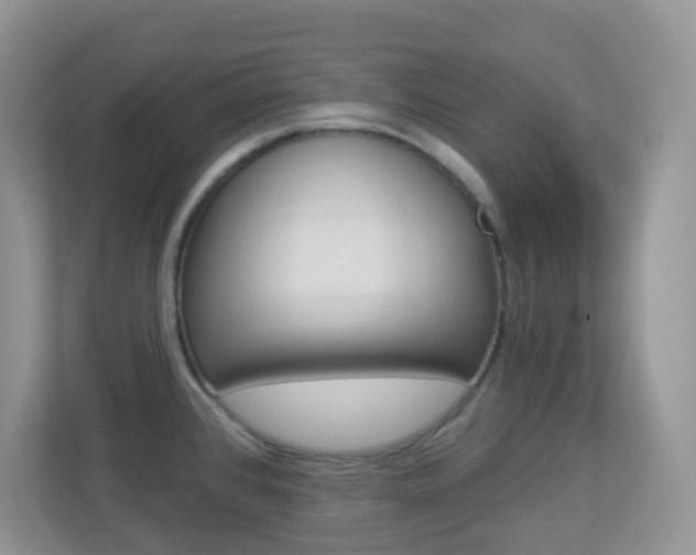 X0000113881384200909241018