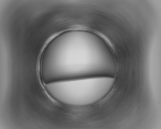 X0000113881387200909241017