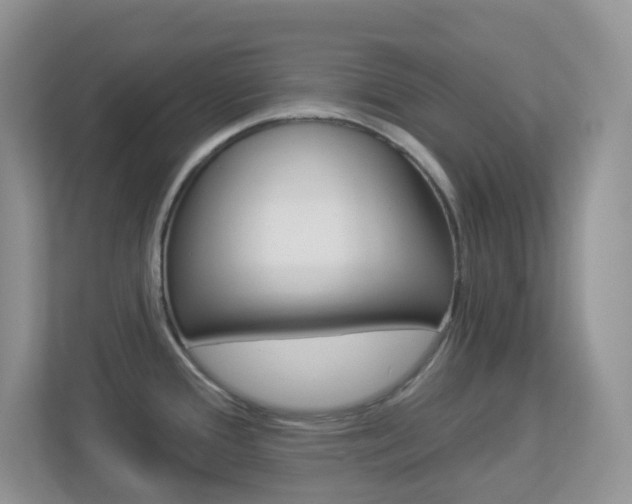 X0000113881388200909241017