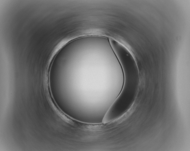 X0000113881389200909241017
