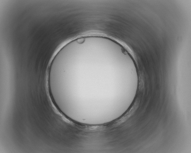 X0000113881390200909241017