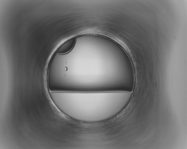 X0000113881392200909241017