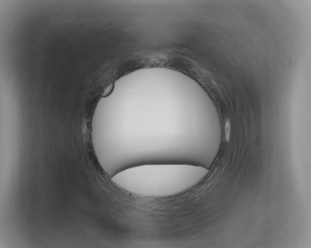 X0000113881395200909241017