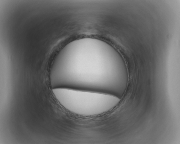 X0000113881398200909241017