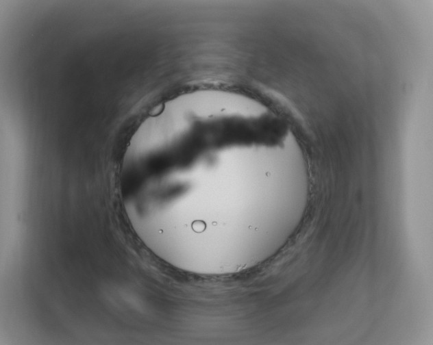 X0000113881399200909241017