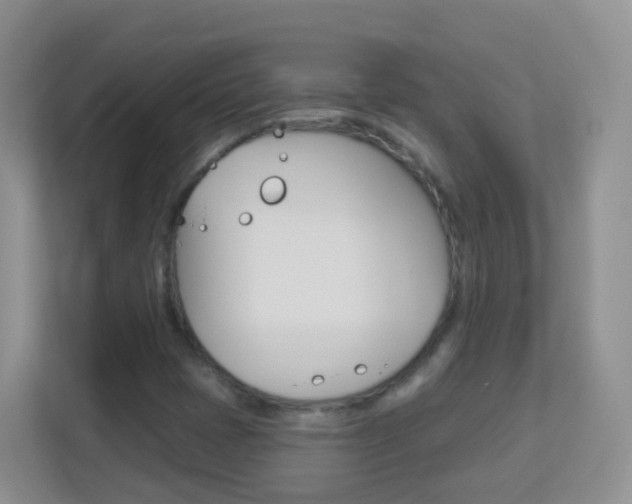 X0000113881401200909241017