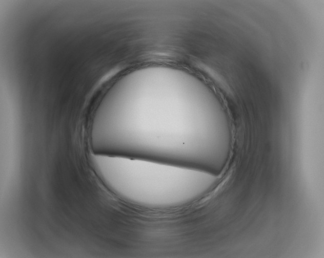 X0000113881402200909241017