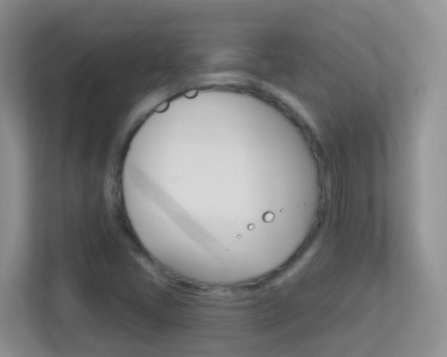 X0000113881405200909241017