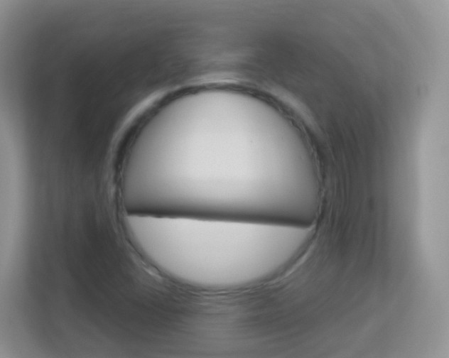 X0000113881406200909241017