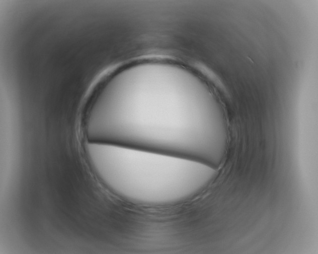 X0000113881408200909241017