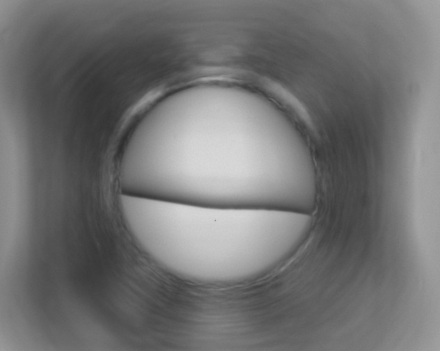 X0000113881411200909241017