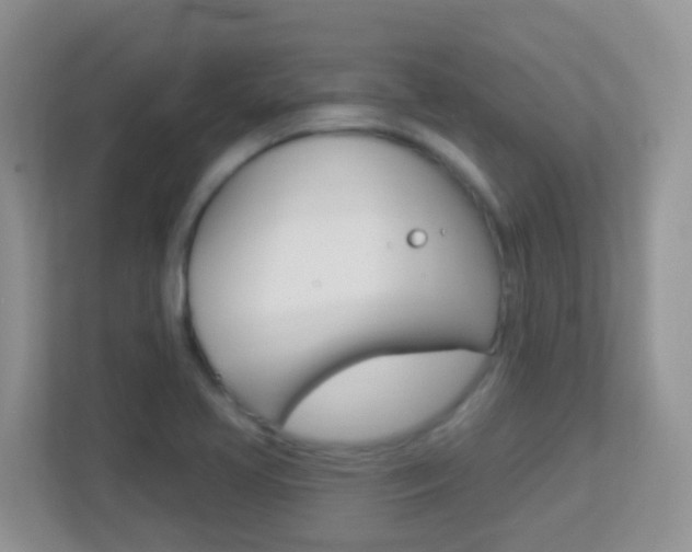 X0000113881413200909241017